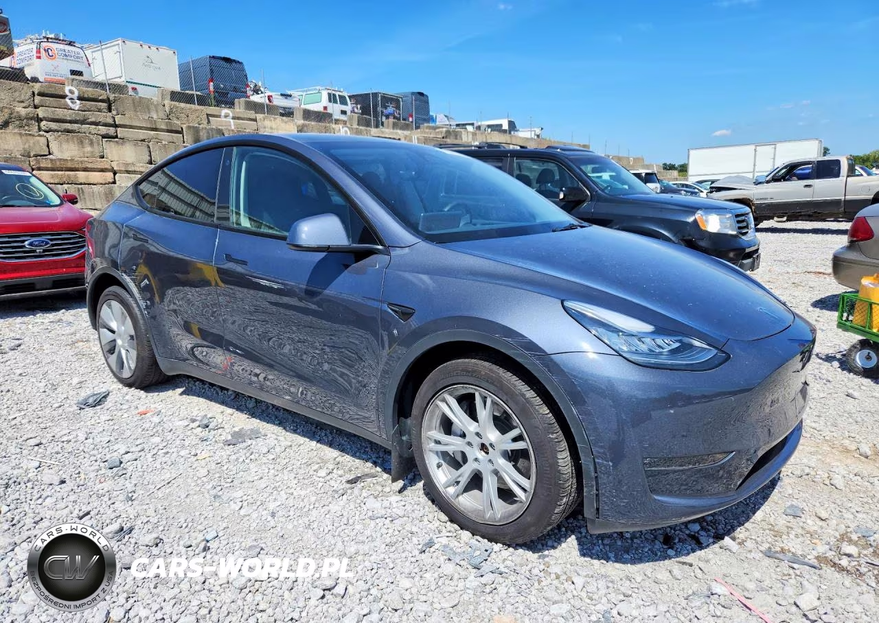2023 Tesla Model Y VIN:7SAYGDEE5PA060216 - 4