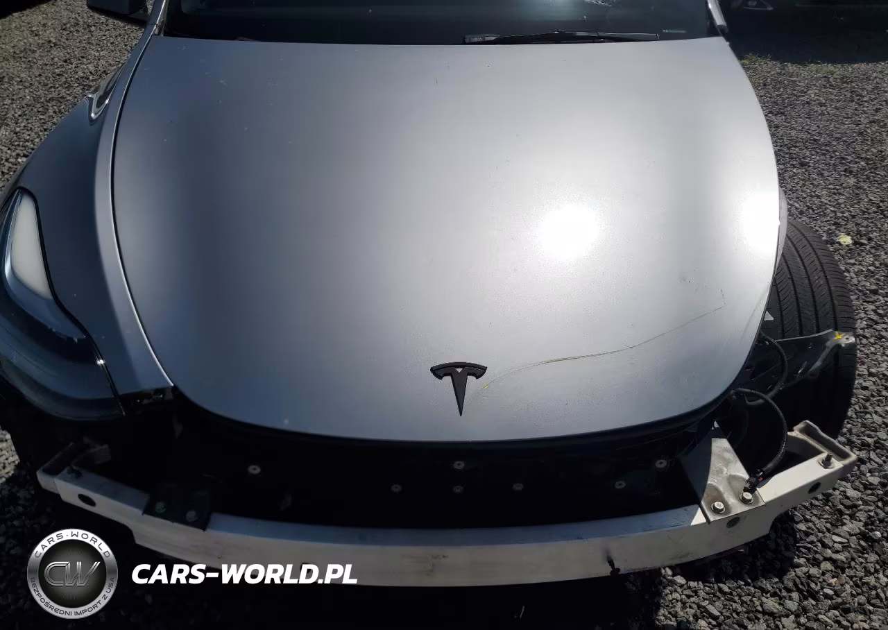 2024 Tesla Model Y VIN:7SAYGDEF2RA312368 - 11