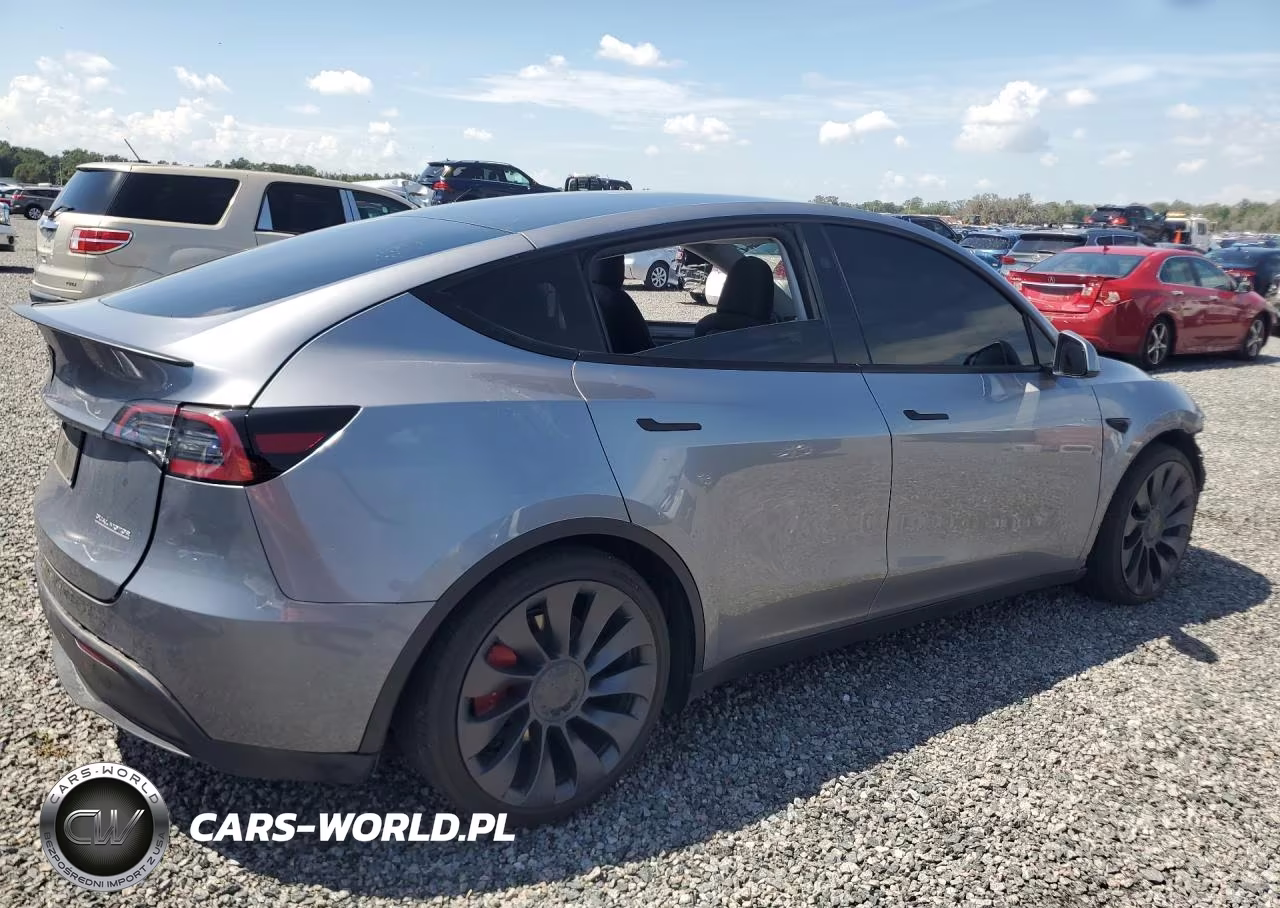 2024 Tesla Model Y VIN:7SAYGDEF2RA312368 - 3