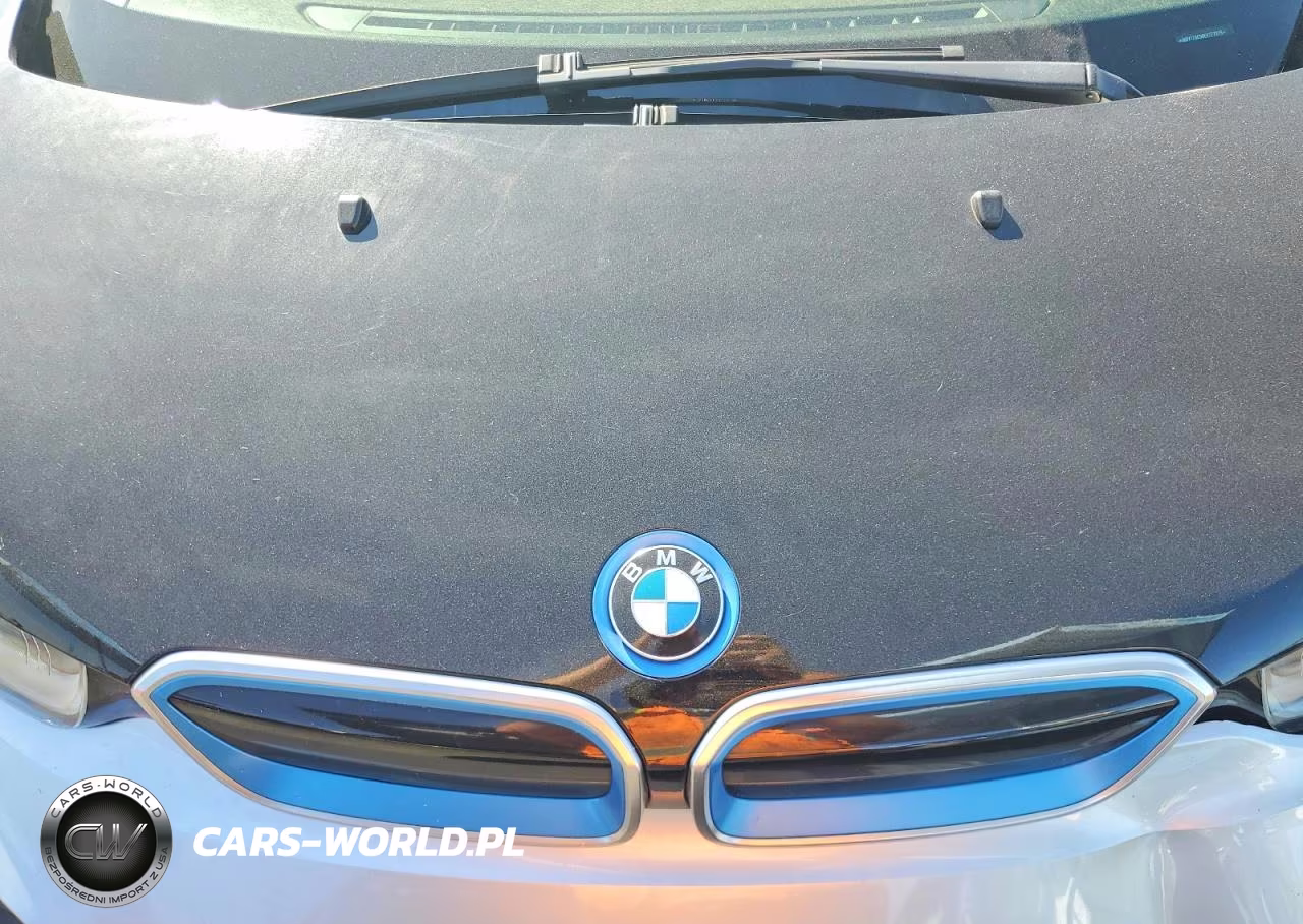 2014 BMW I3 Rex VIN:WBY1Z4C54EV277378 - 12
