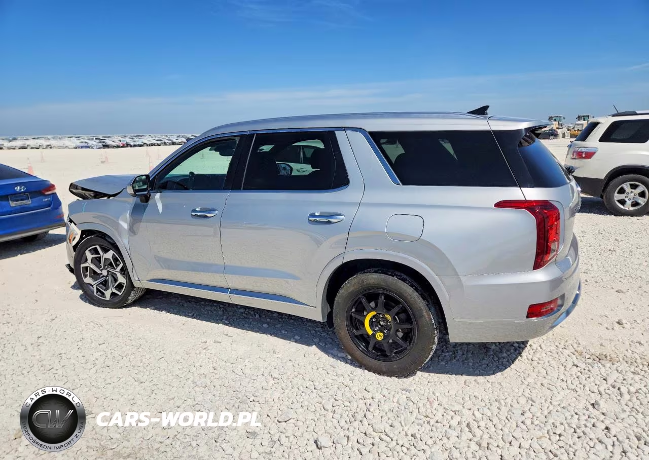 2021 Hyundai Palisade Calligraphy VIN:KM8R7DHEXMU296746 - 2