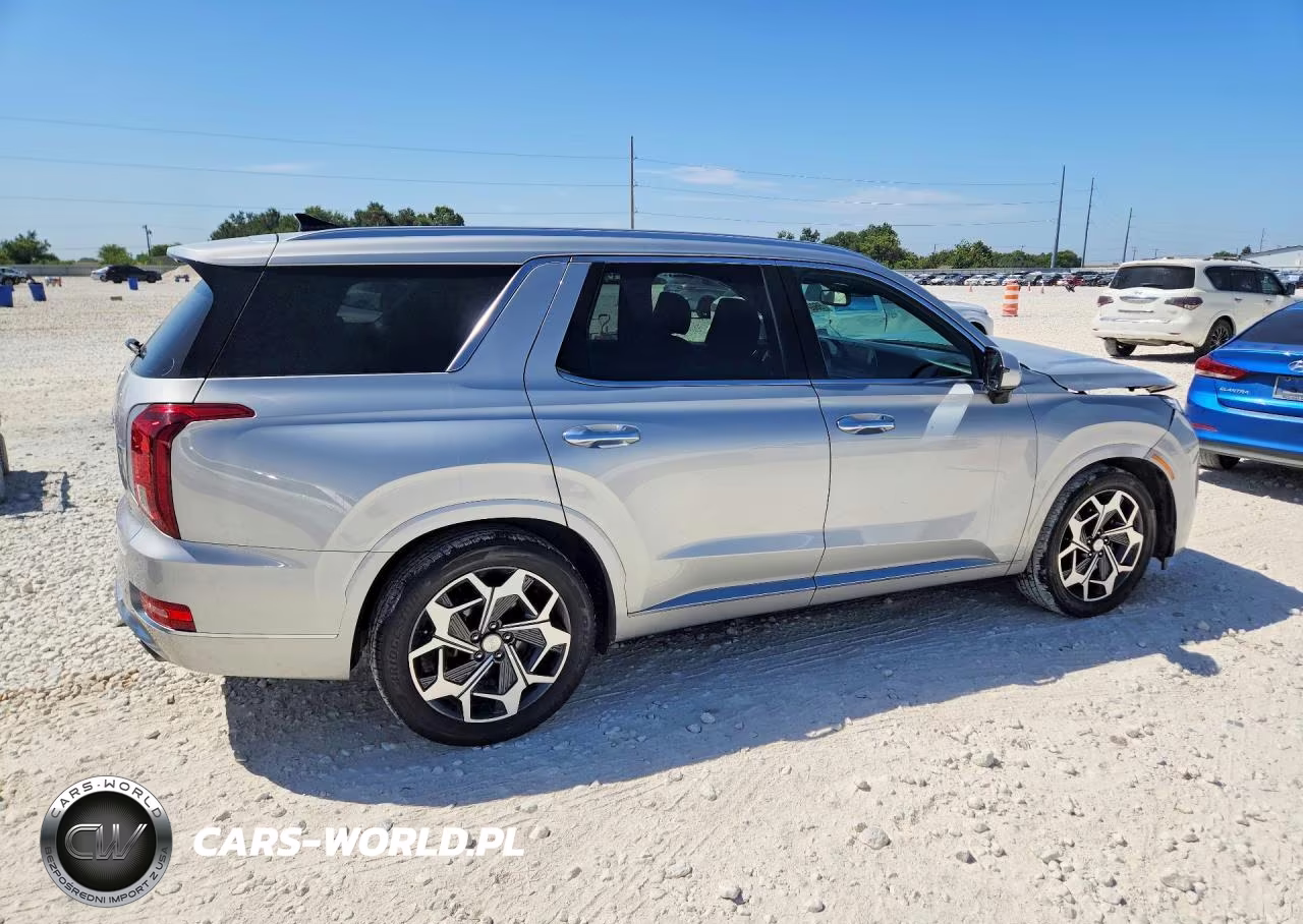 2021 Hyundai Palisade Calligraphy VIN:KM8R7DHEXMU296746 - 3