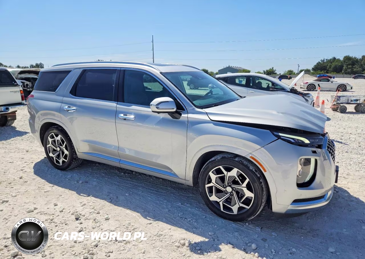 2021 Hyundai Palisade Calligraphy VIN:KM8R7DHEXMU296746 - 4