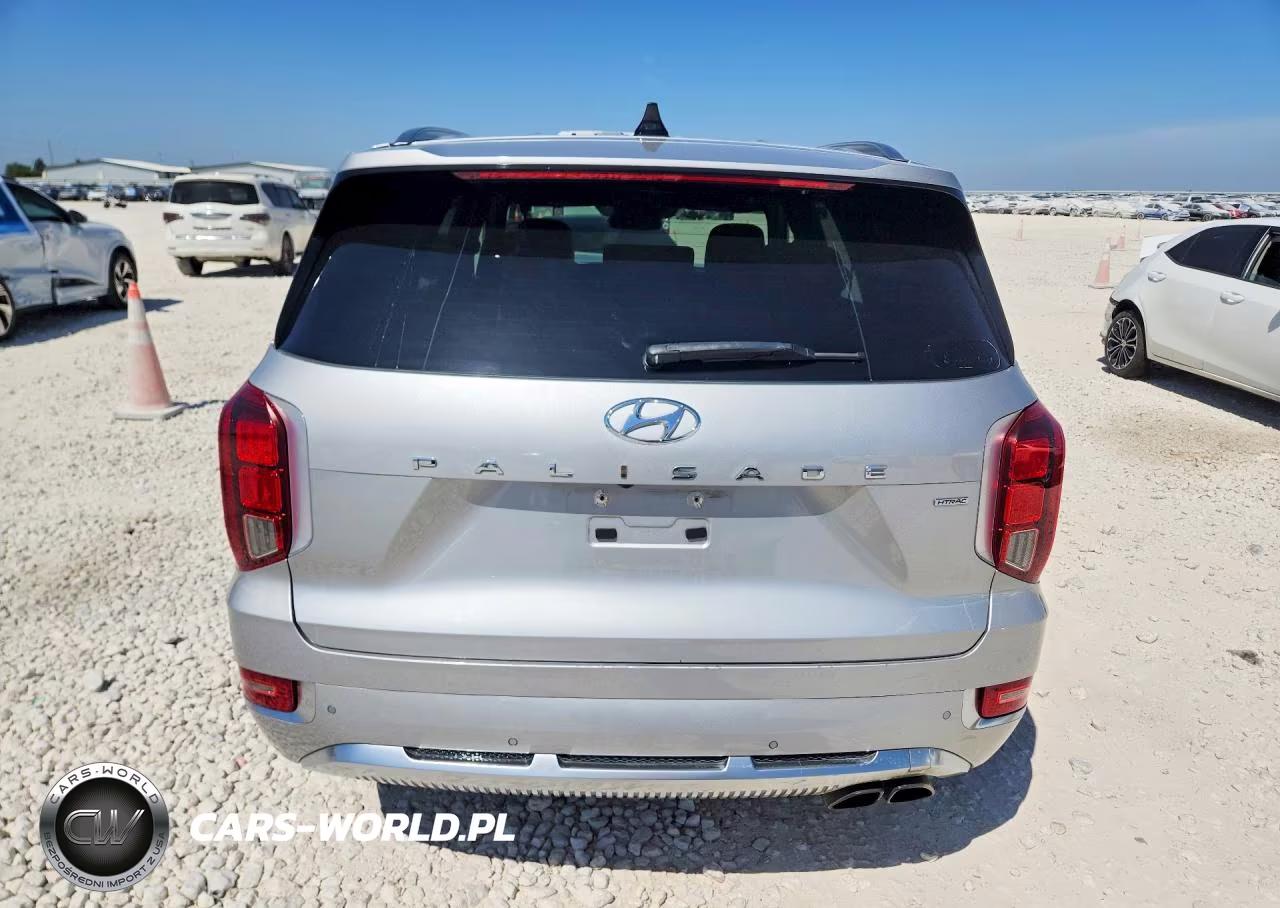 2021 Hyundai Palisade Calligraphy VIN:KM8R7DHEXMU296746 - 6