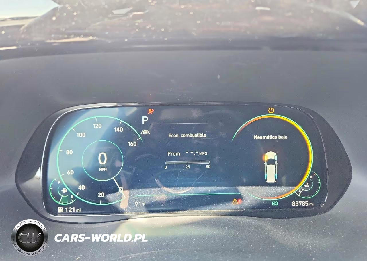 2021 Hyundai Palisade Calligraphy VIN:KM8R7DHEXMU296746 - 9