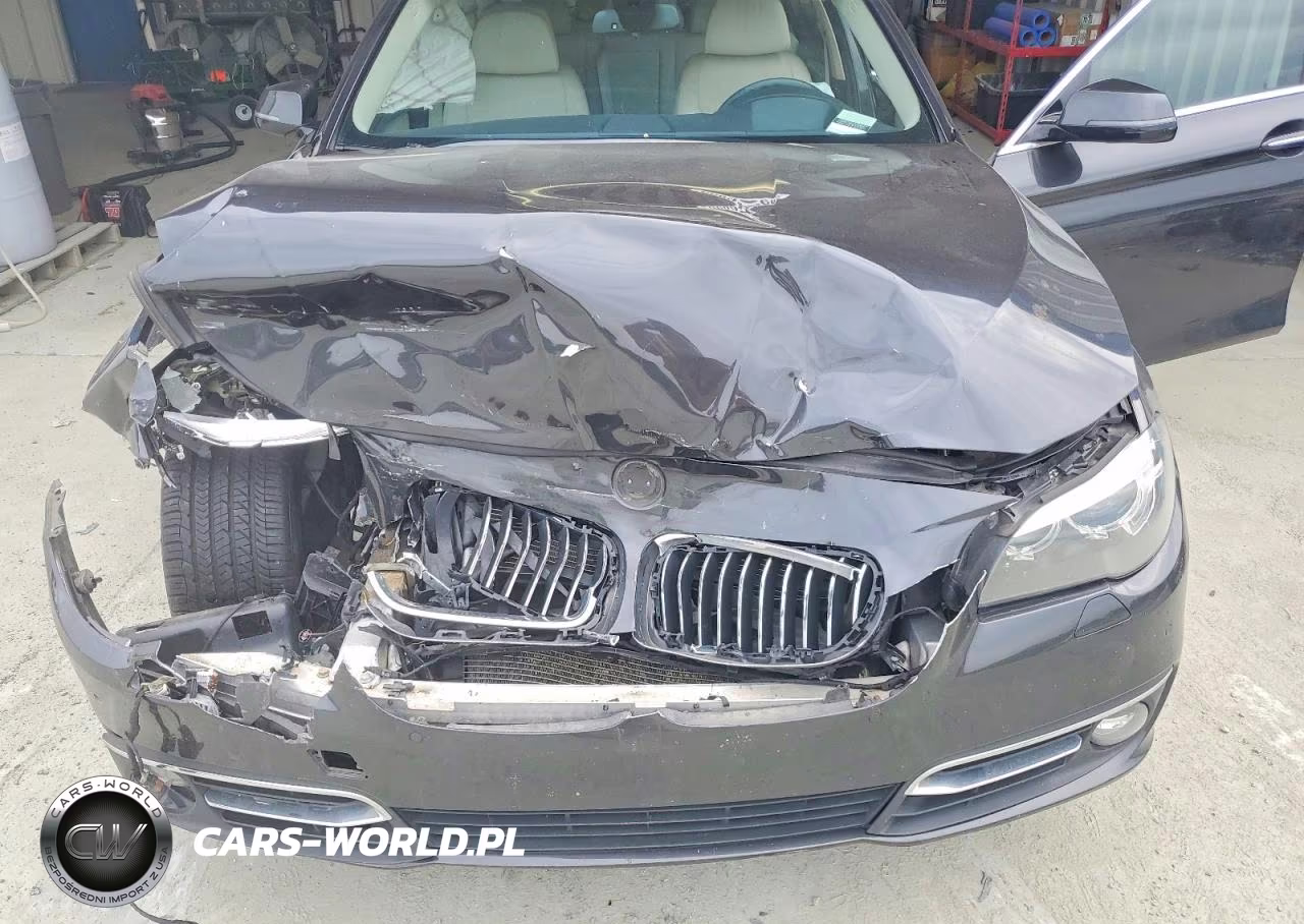 2016 BMW 535 D VIN:WBAXA5C5XGG042108 - 11