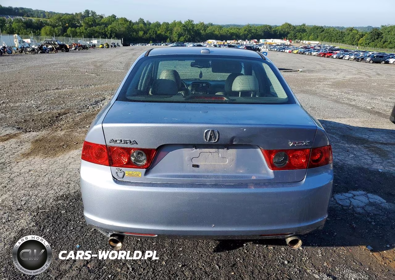 2008 Acura Tsx VIN:JH4CL96888C008944 - 6