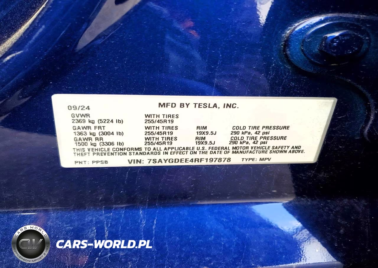 2024 Tesla Model Y VIN:7SAYGDEE4RF197878 - 12