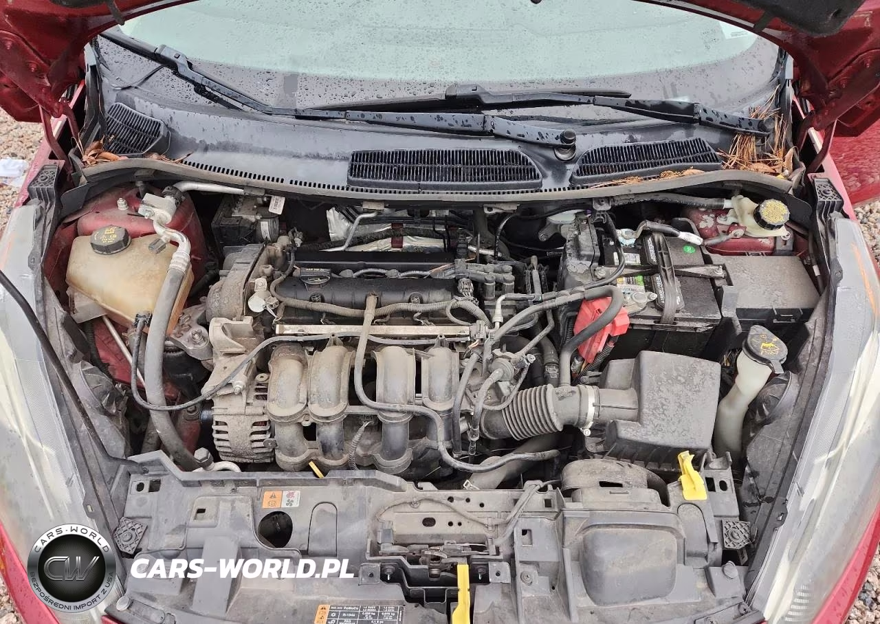 2014 Ford Fiesta Se VIN:3FADP4BJ7EM131544 - 11