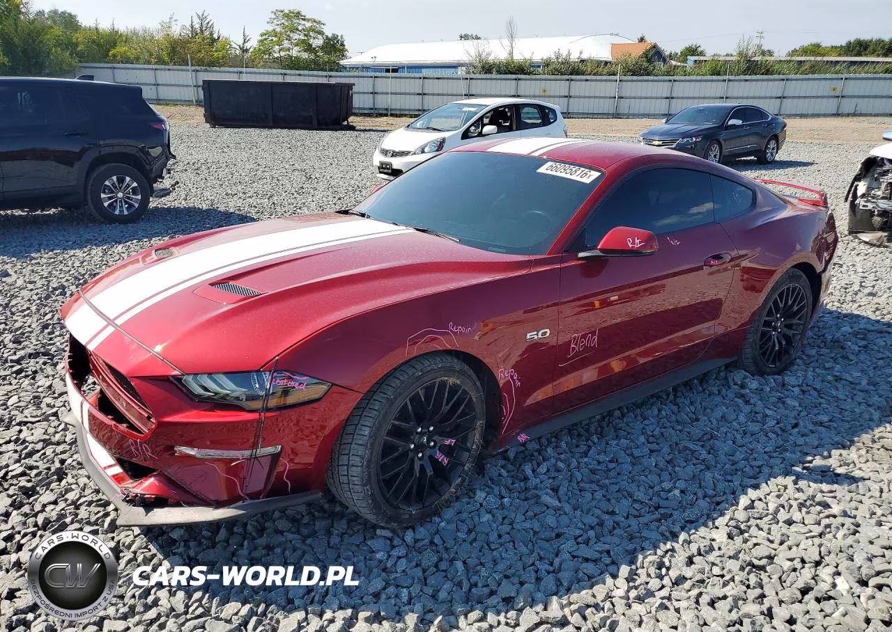 2019 Ford Mustang Gt VIN:1FA6P8CF5K5197389 - 1