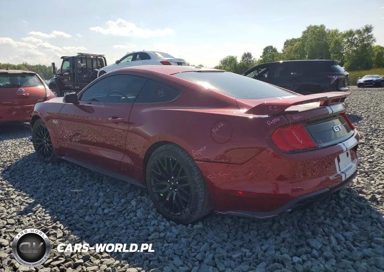 2019 Ford Mustang Gt VIN:1FA6P8CF5K5197389 - 2