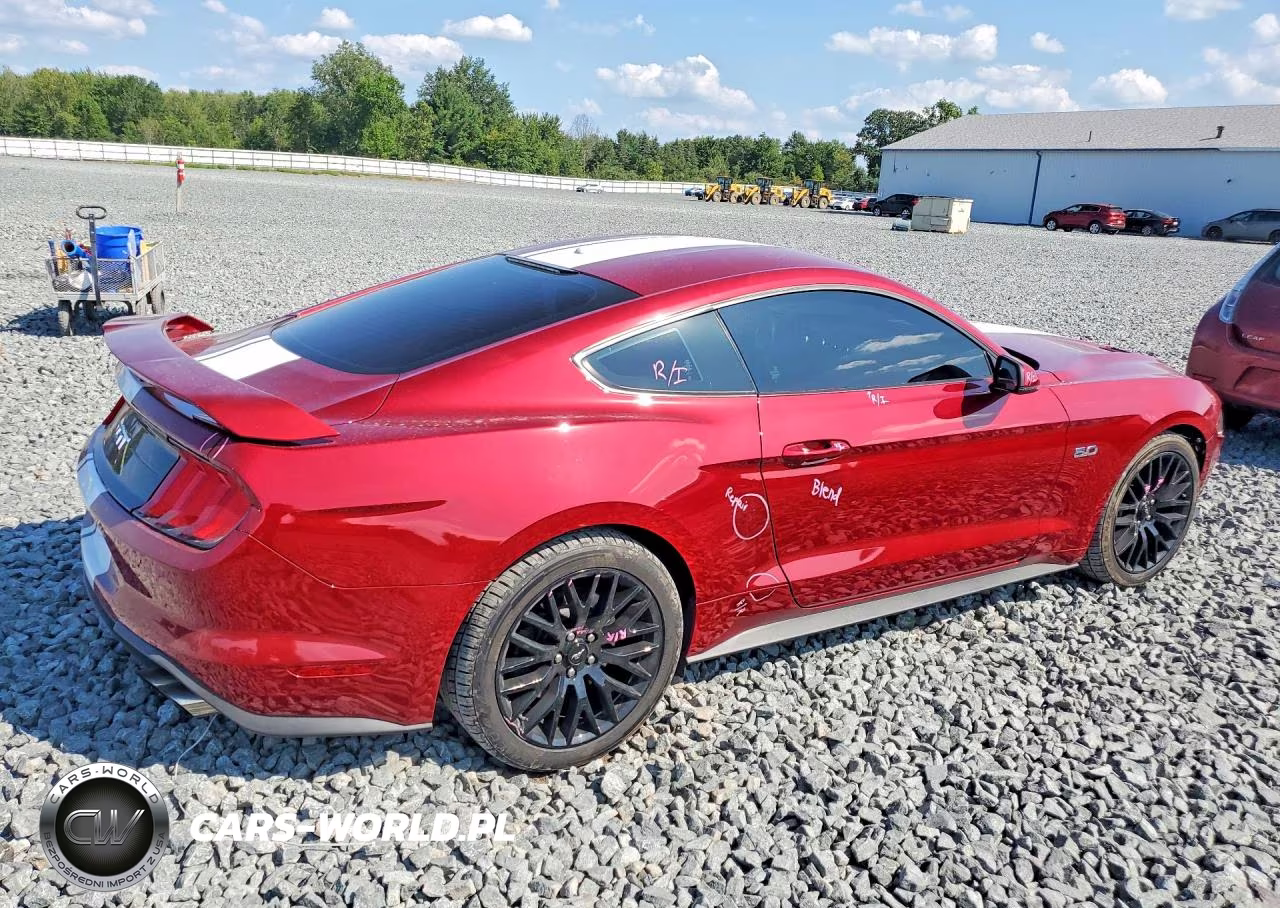 2019 Ford Mustang Gt VIN:1FA6P8CF5K5197389 - 3