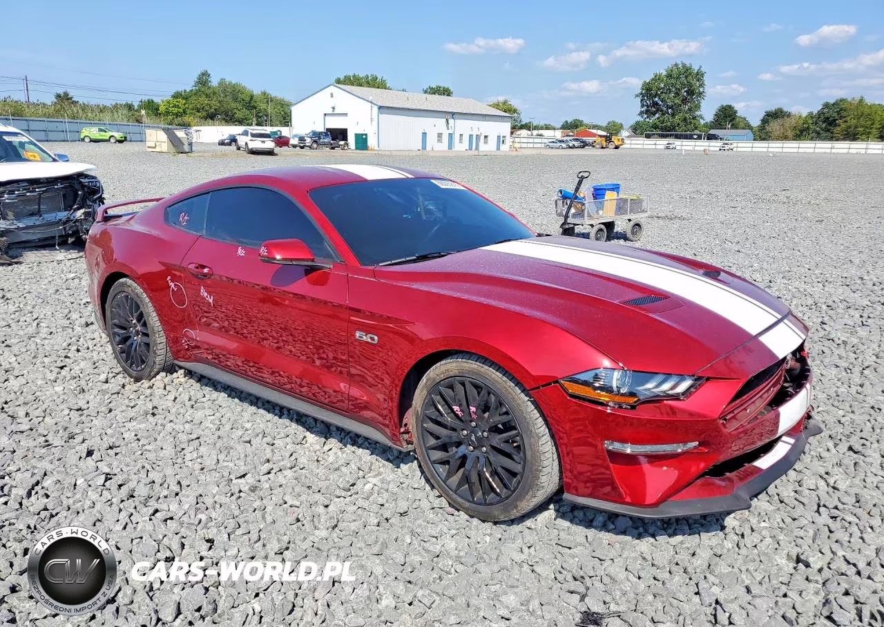 2019 Ford Mustang Gt VIN:1FA6P8CF5K5197389 - 4