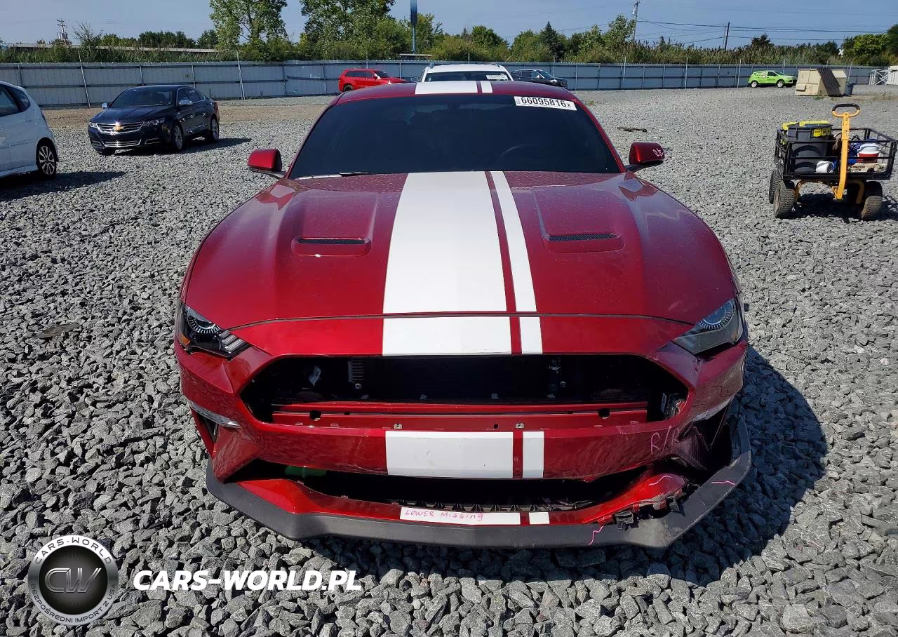 2019 Ford Mustang Gt VIN:1FA6P8CF5K5197389 - 5