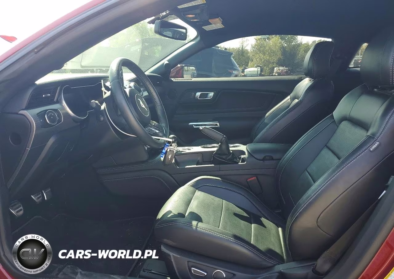 2019 Ford Mustang Gt VIN:1FA6P8CF5K5197389 - 7