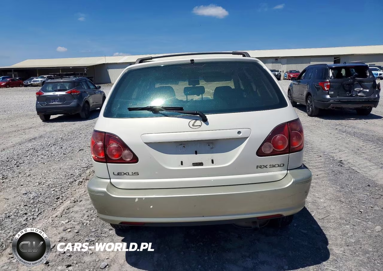 2000 Lexus Rx 300 VIN:JT6HF10U6Y0132497 - 6
