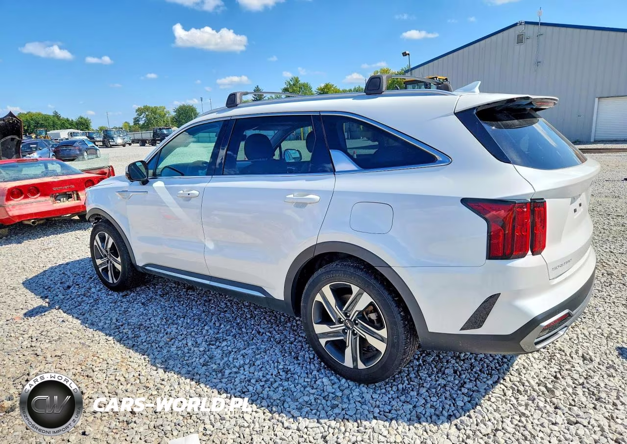 2023 Kia Sorento Sxp VIN:KNDRKDLG1P5176974 - 2
