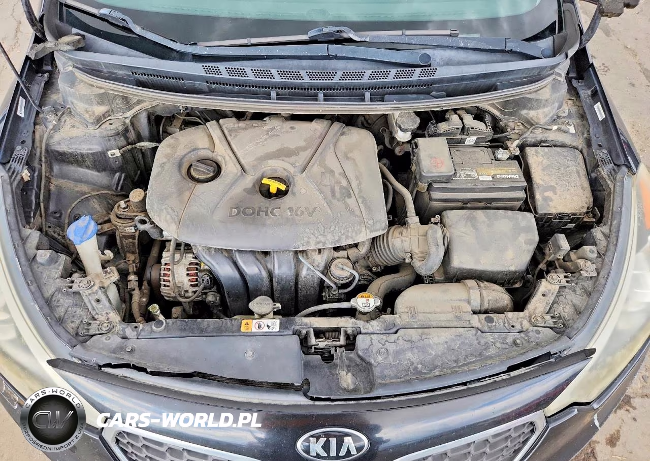 2015 Kia Forte Lx VIN:KNAFK4A63F5342811 - 11