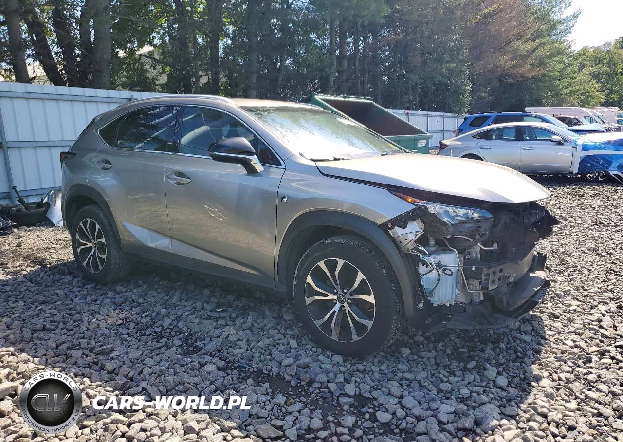 2016 Lexus Nx 200T F Sport VIN:JTJBARBZ5G2056016 - 4