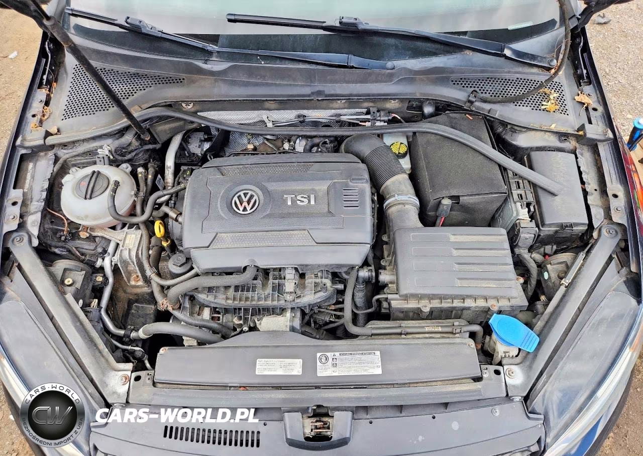 2015 Volkswagen Gti VIN:3VW4T7AU8FM099348 - 11