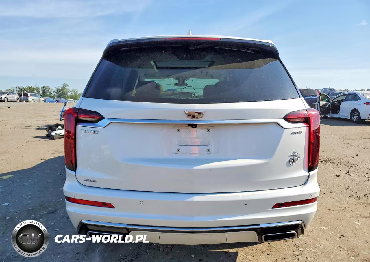 2021 Cadillac Xt6 Premium Luxury VIN:1GYKPDRS8MZ235953 - 6