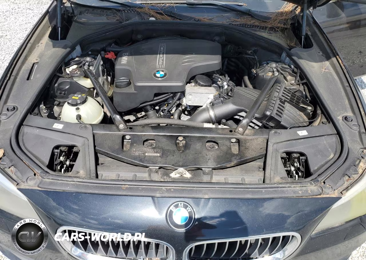 2014 BMW 528 Xi VIN:WBA5A7C53ED219261 - 11