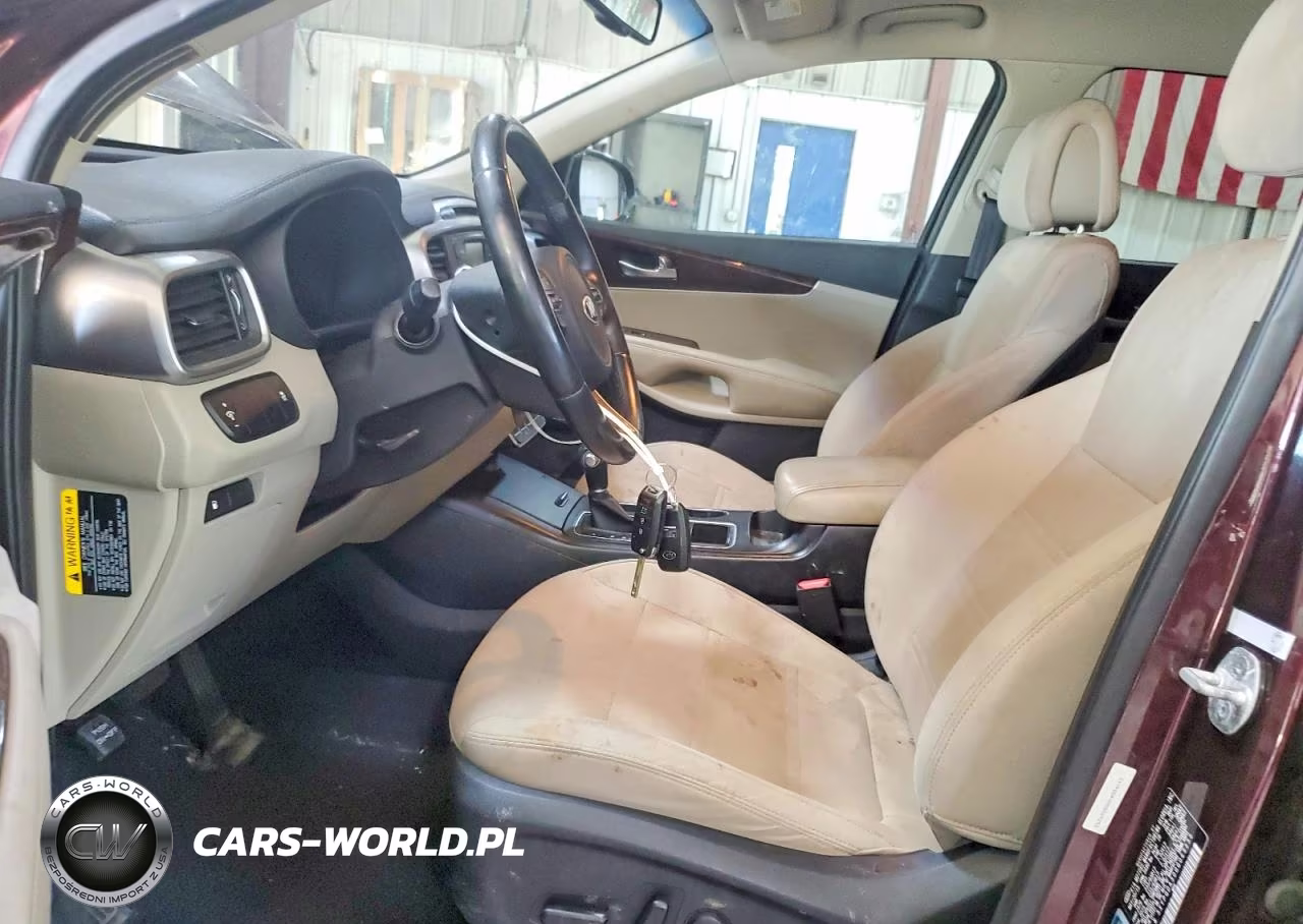 2016 Kia Sorento Lx VIN:5XYPGDA30GG069253 - 7