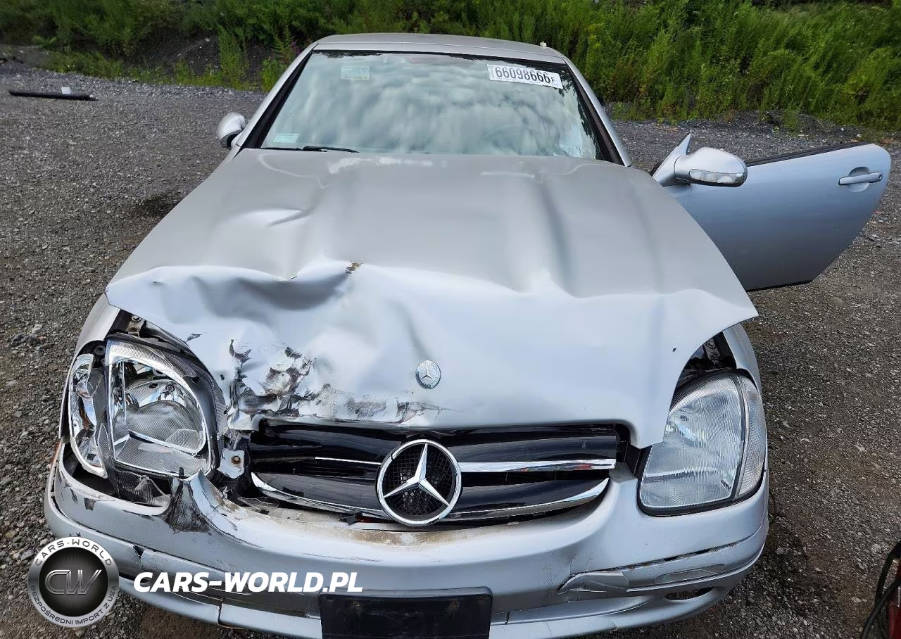 2002 Mercedes-Benz Slk 230 Kompressor VIN:WDBKK49F32F264832 - 11