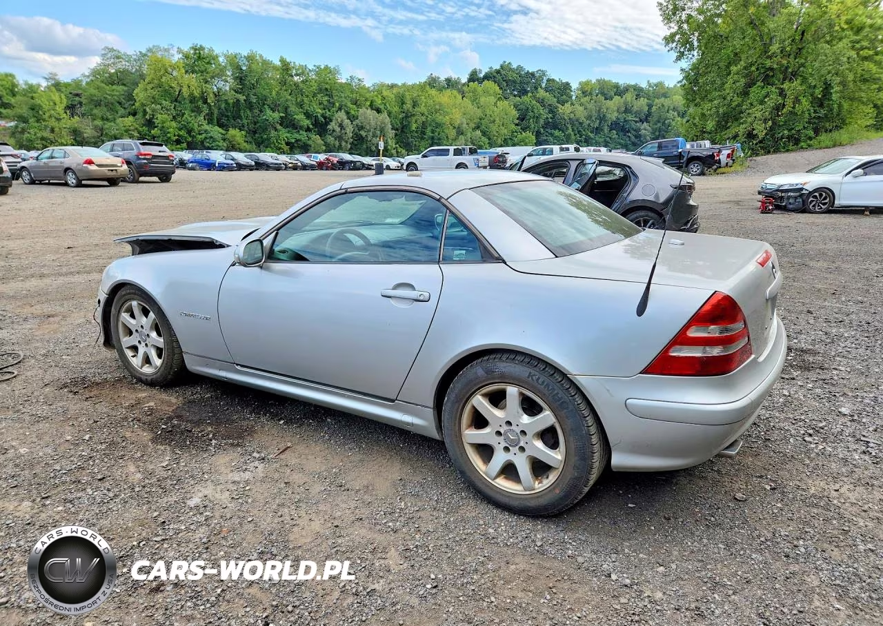 2002 Mercedes-Benz Slk 230 Kompressor VIN:WDBKK49F32F264832 - 2