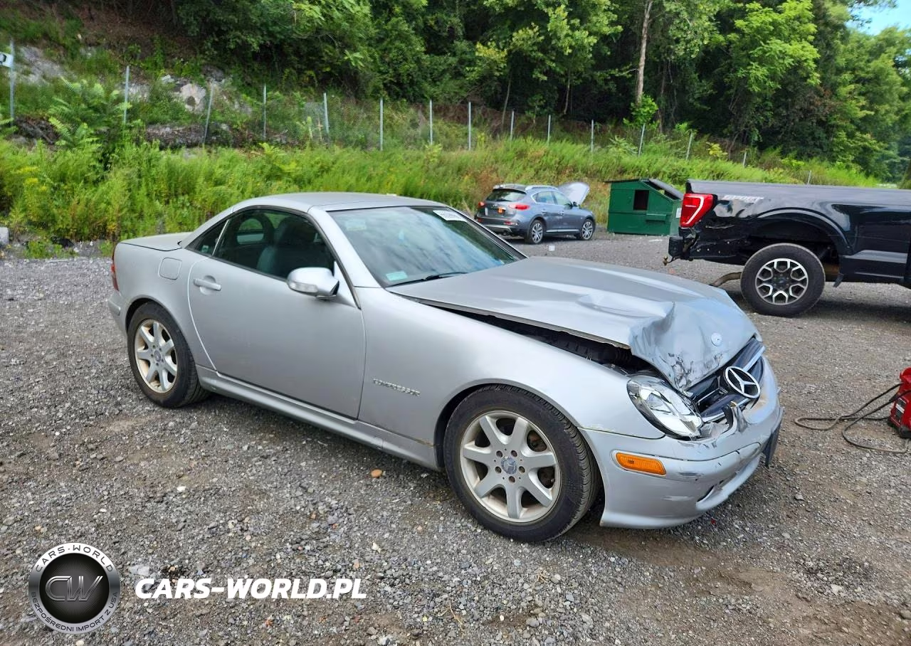 2002 Mercedes-Benz Slk 230 Kompressor VIN:WDBKK49F32F264832 - 4