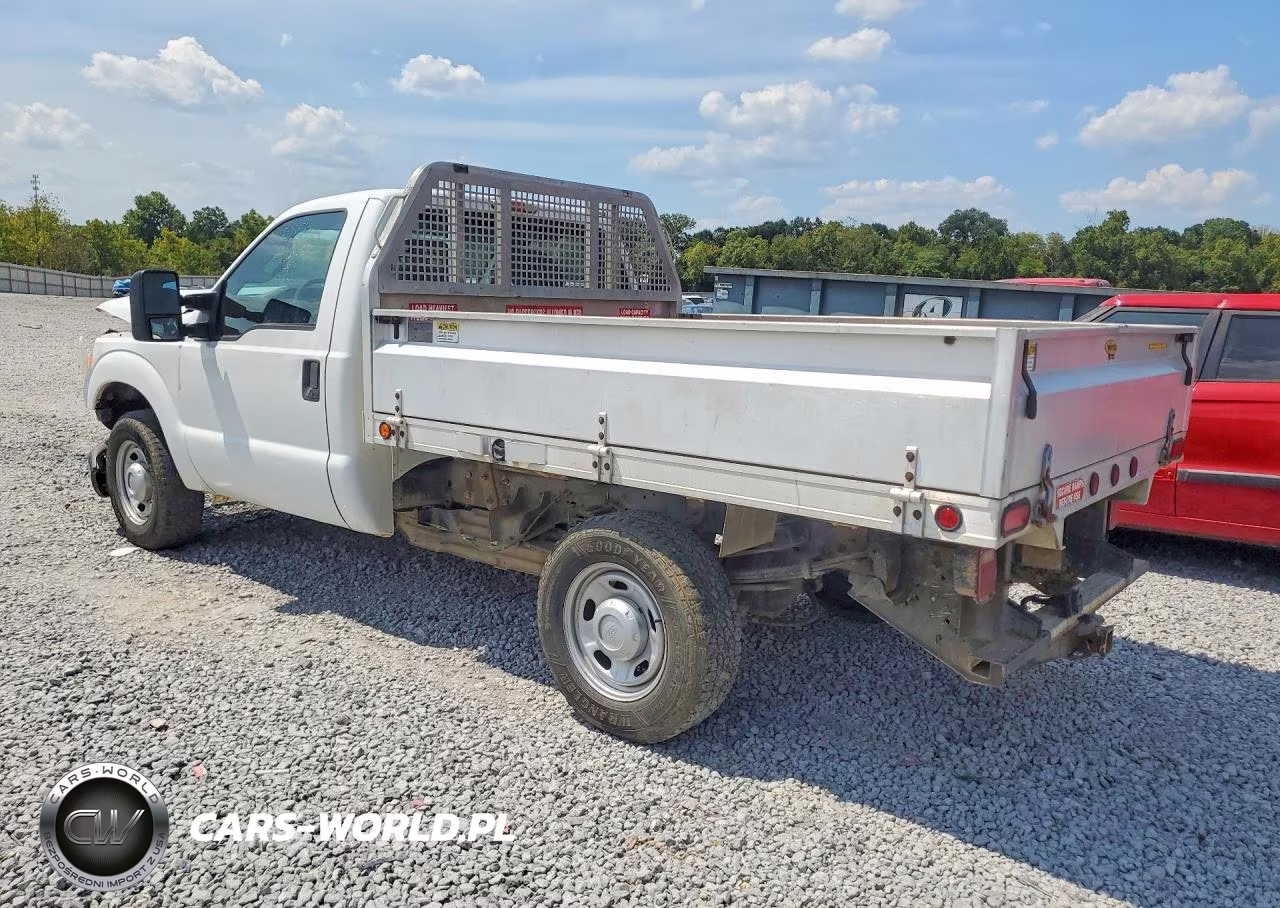 2012 Ford F250 Super Duty VIN:1FDBF2A66CEB10317 - 2