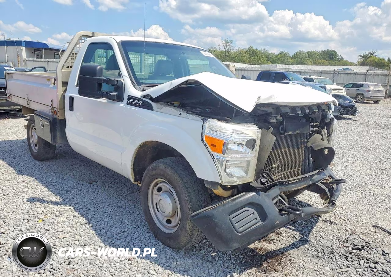 2012 Ford F250 Super Duty VIN:1FDBF2A66CEB10317 - 4