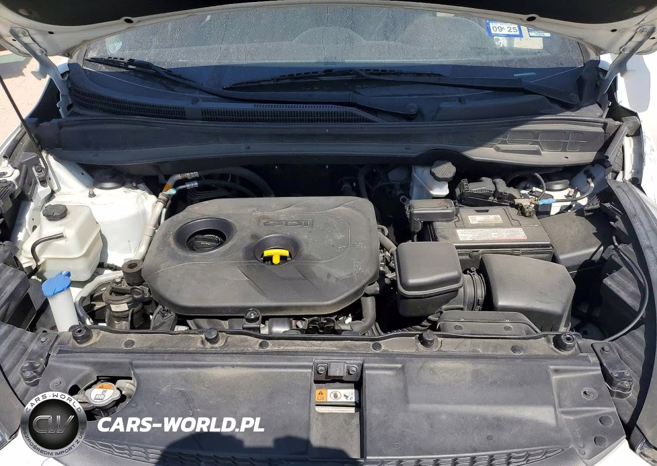2015 Hyundai Tucson Gls VIN:KM8JT3AF4FU086734 - 12