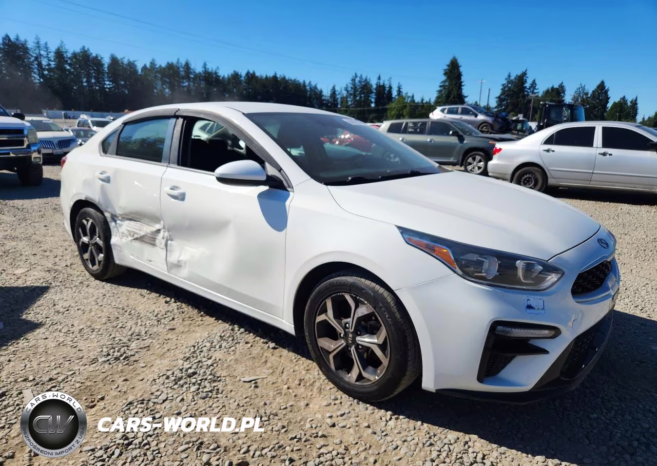 2019 Kia Forte Lxs VIN:3KPF24AD8KE018852 - 4