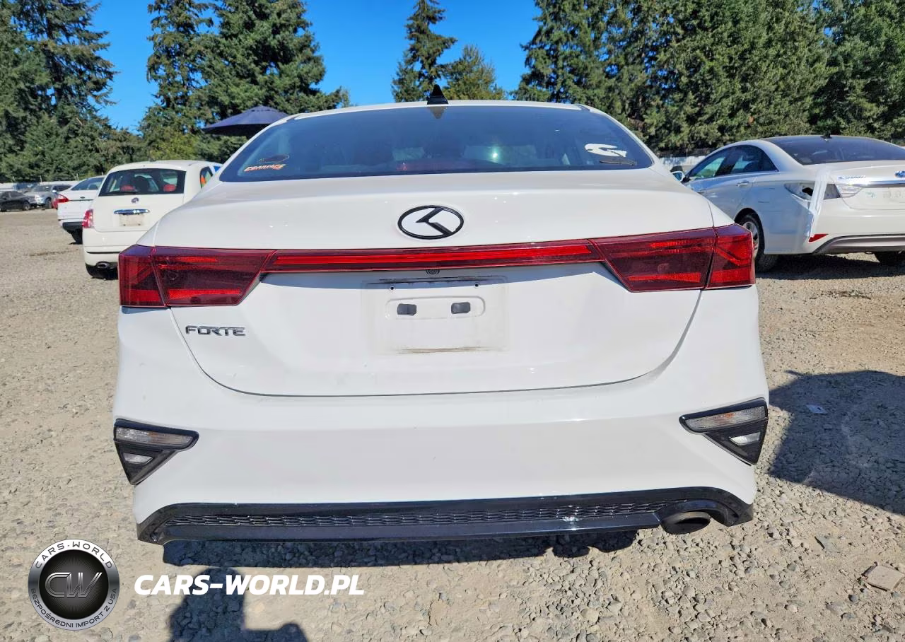 2019 Kia Forte Lxs VIN:3KPF24AD8KE018852 - 6