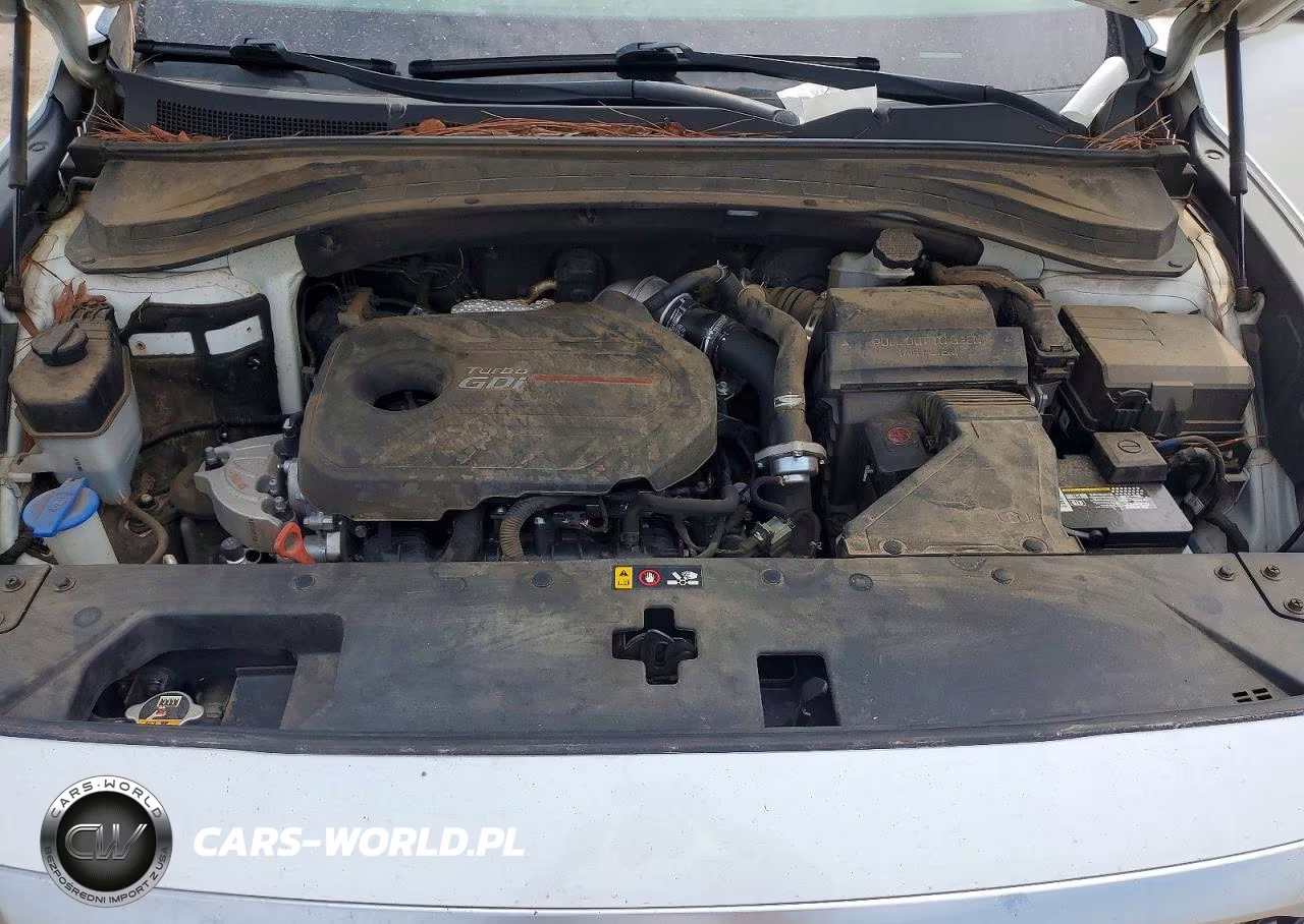 2019 Hyundai Santa Fe Limited 2.0T VIN:5NMS53AA0KH056560 - 11