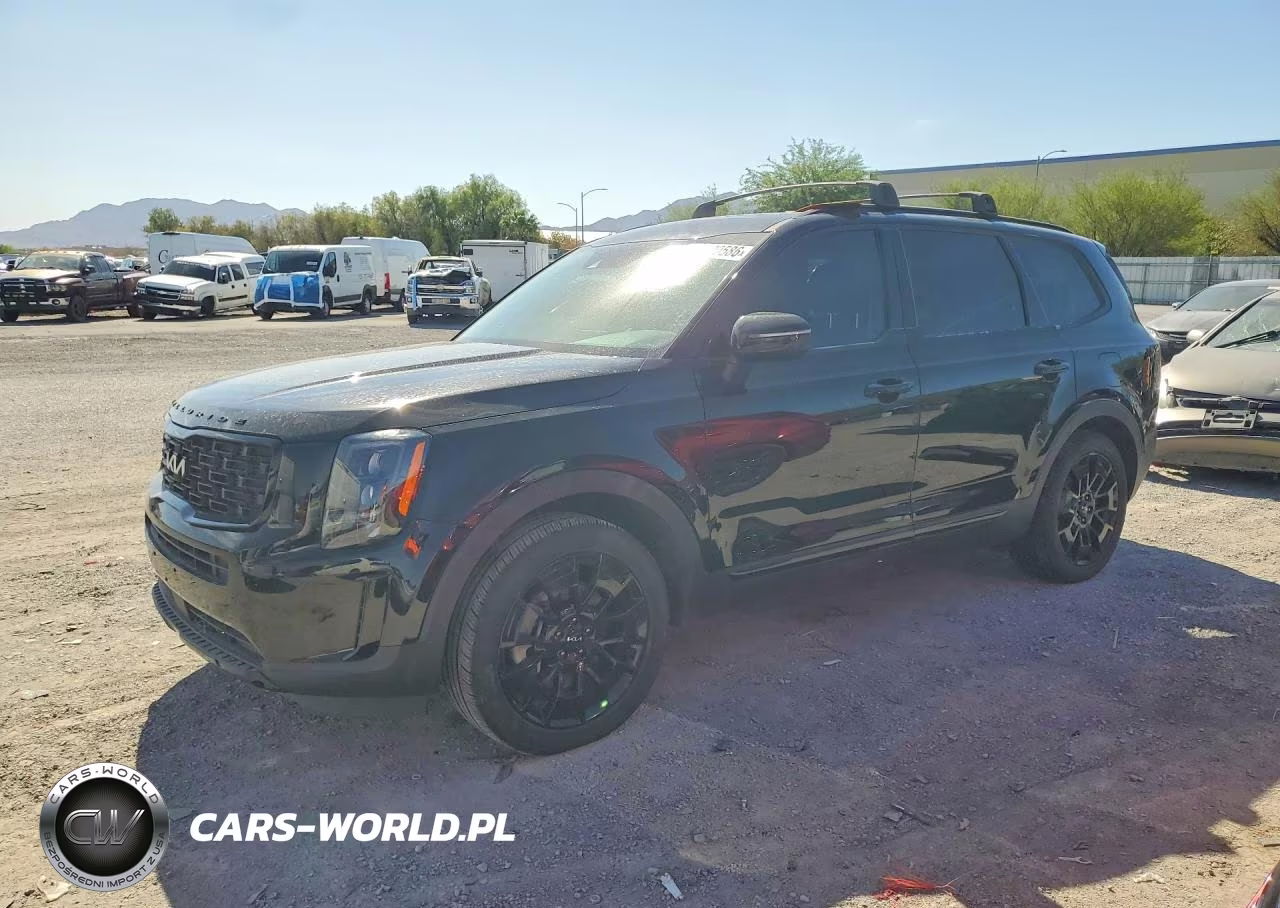 2022 Kia Telluride Ex VIN:5XYP3DHC7NG226517 - 1
