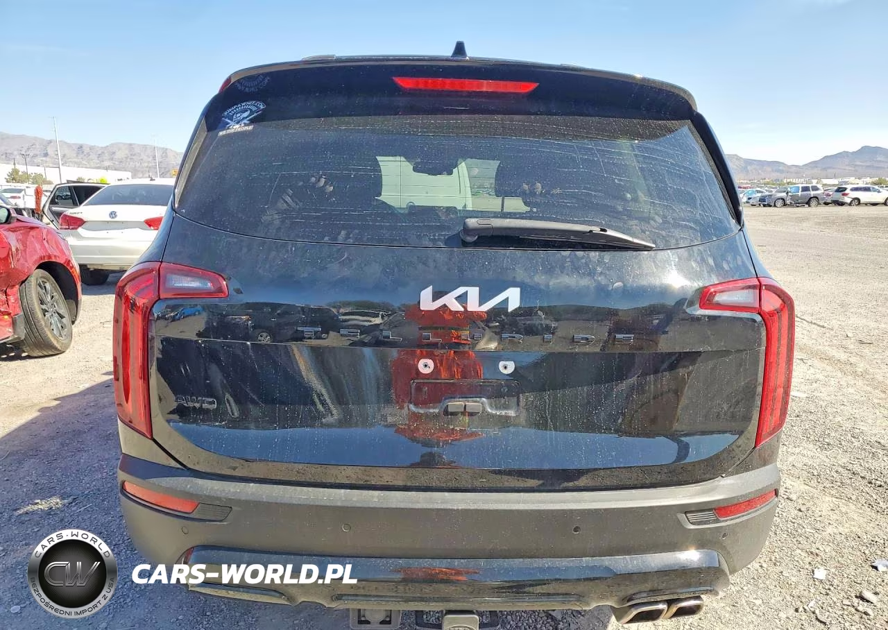 2022 Kia Telluride Ex VIN:5XYP3DHC7NG226517 - 6