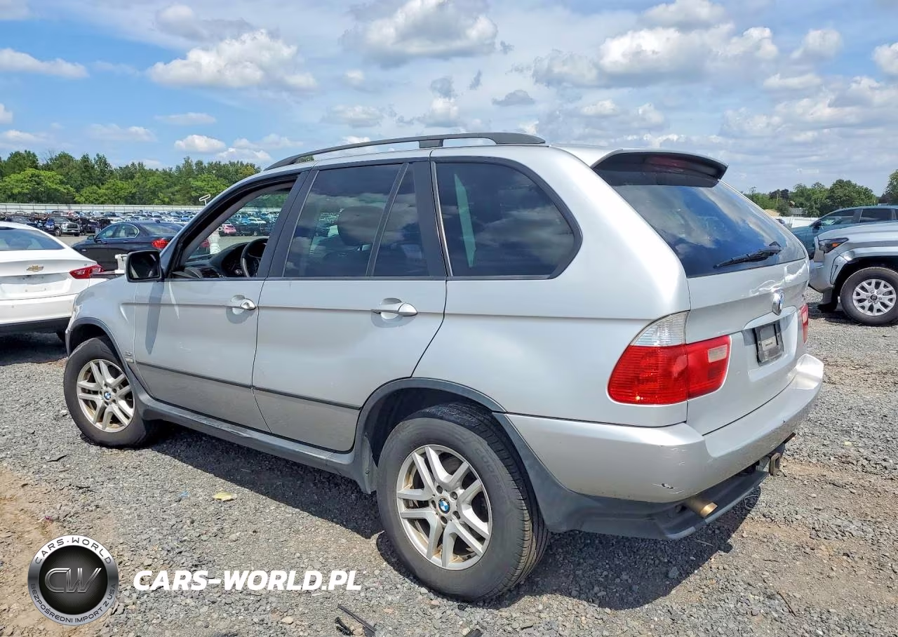 2005 BMW X5 3.0I VIN:5UXFA13545LY17738 - 2