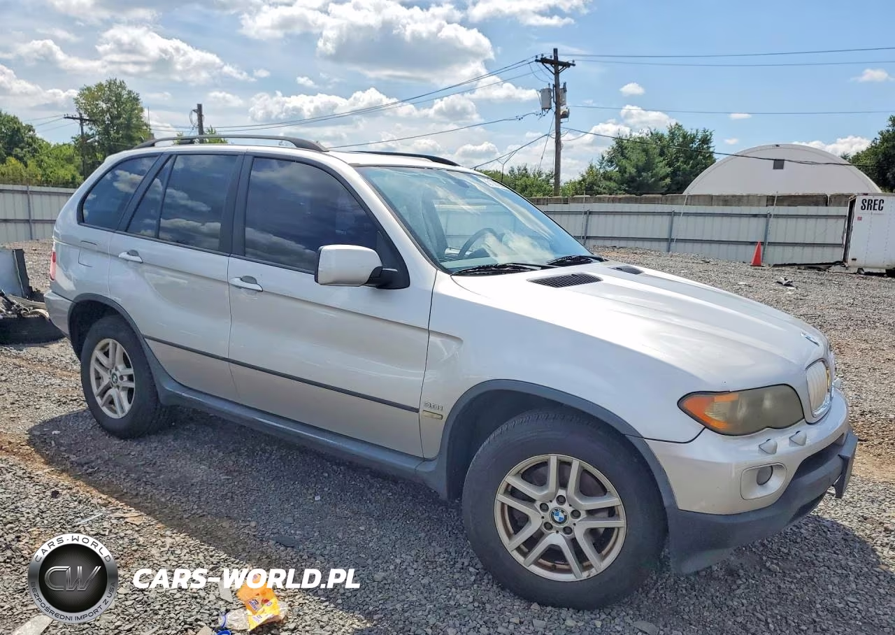 2005 BMW X5 3.0I VIN:5UXFA13545LY17738 - 4
