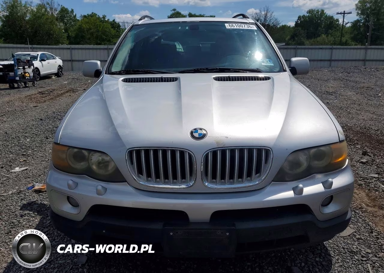 2005 BMW X5 3.0I VIN:5UXFA13545LY17738 - 5