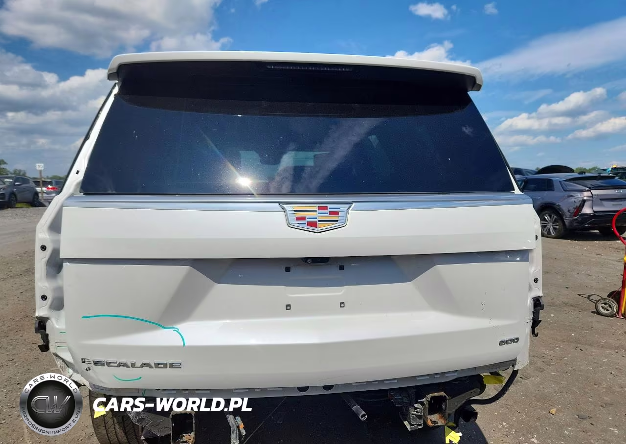 2021 Cadillac Escalade Premium Luxury VIN:1GYS4BKL7MR166141 - 6
