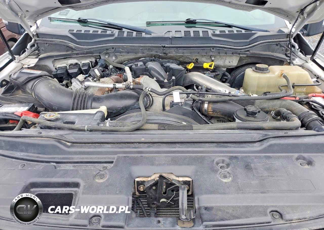 2019 Ford F350 Super Duty VIN:1FT8W3BT1KED19276 - 11