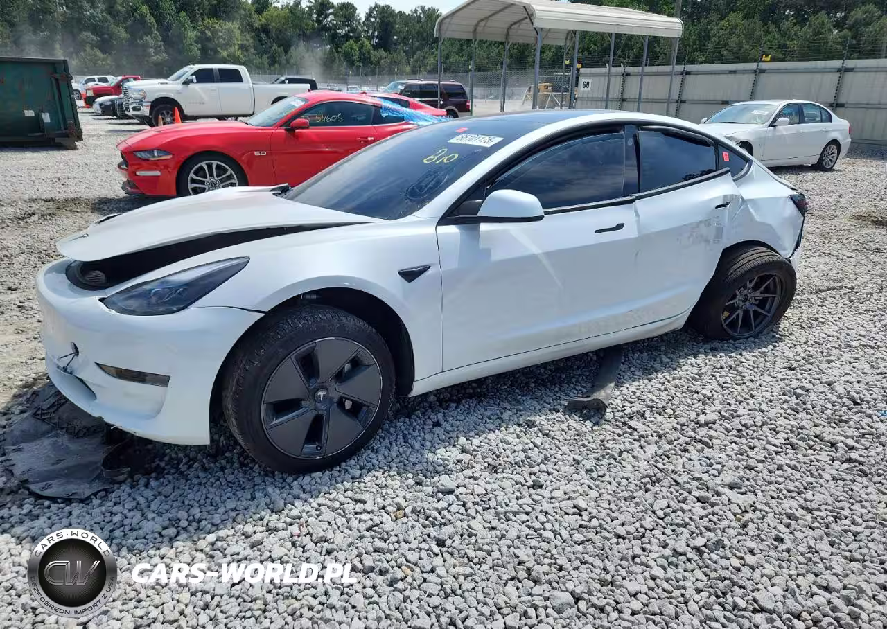 2021 Tesla Model 3