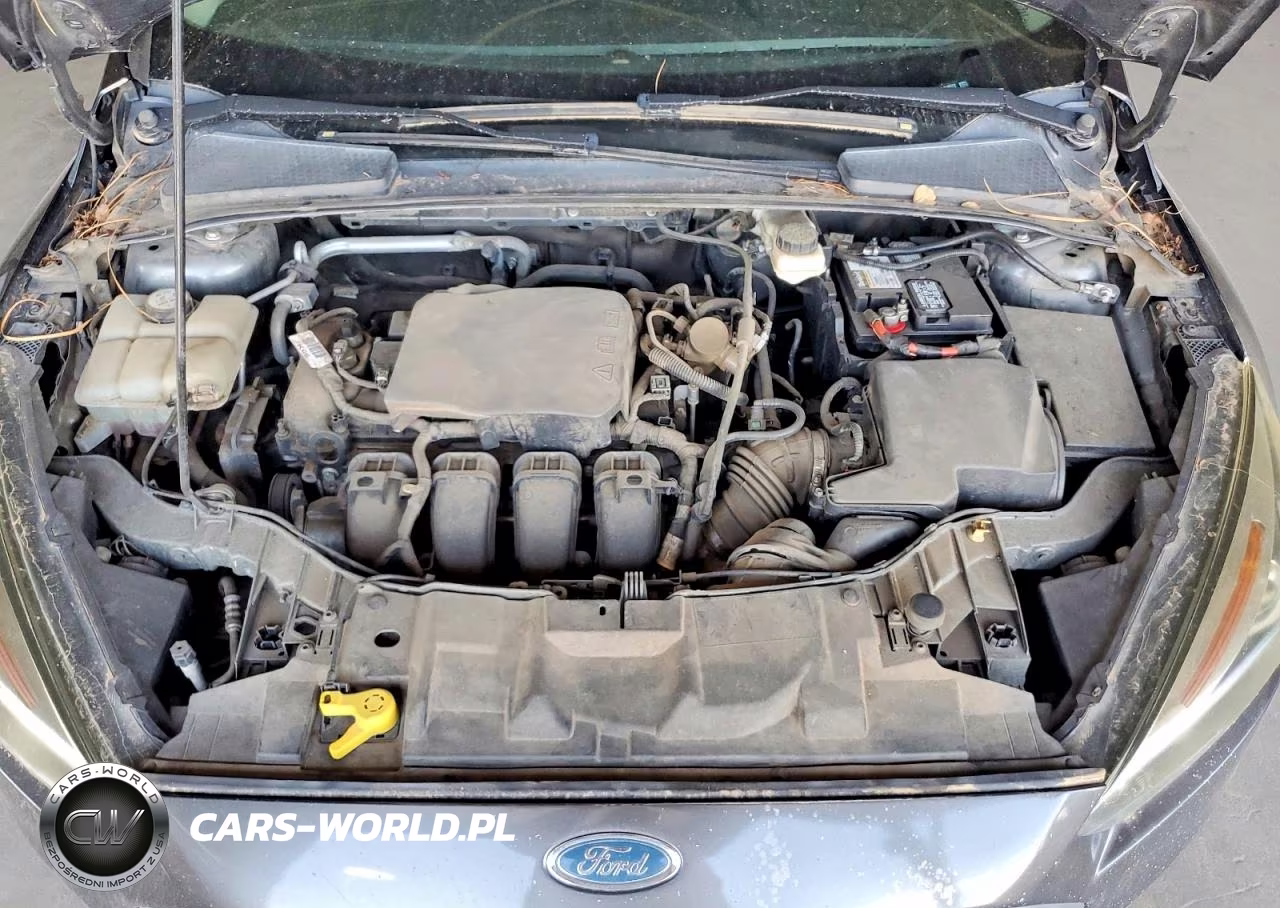 2017 Ford Focus Se VIN:1FADP3K29HL216572 - 11