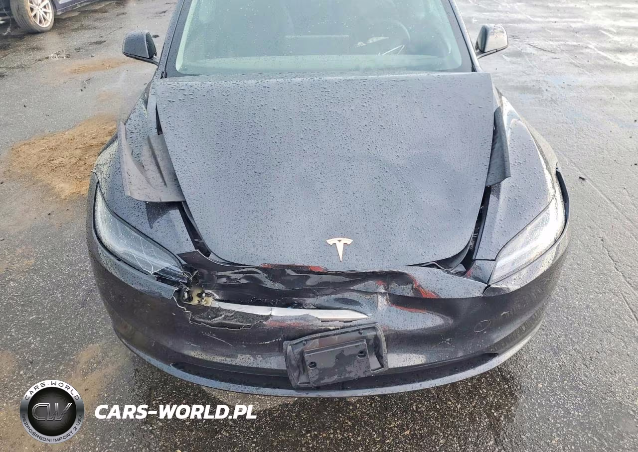 2025 Tesla Model 3 VIN:5YJ3E1EA3SF053804 - 11