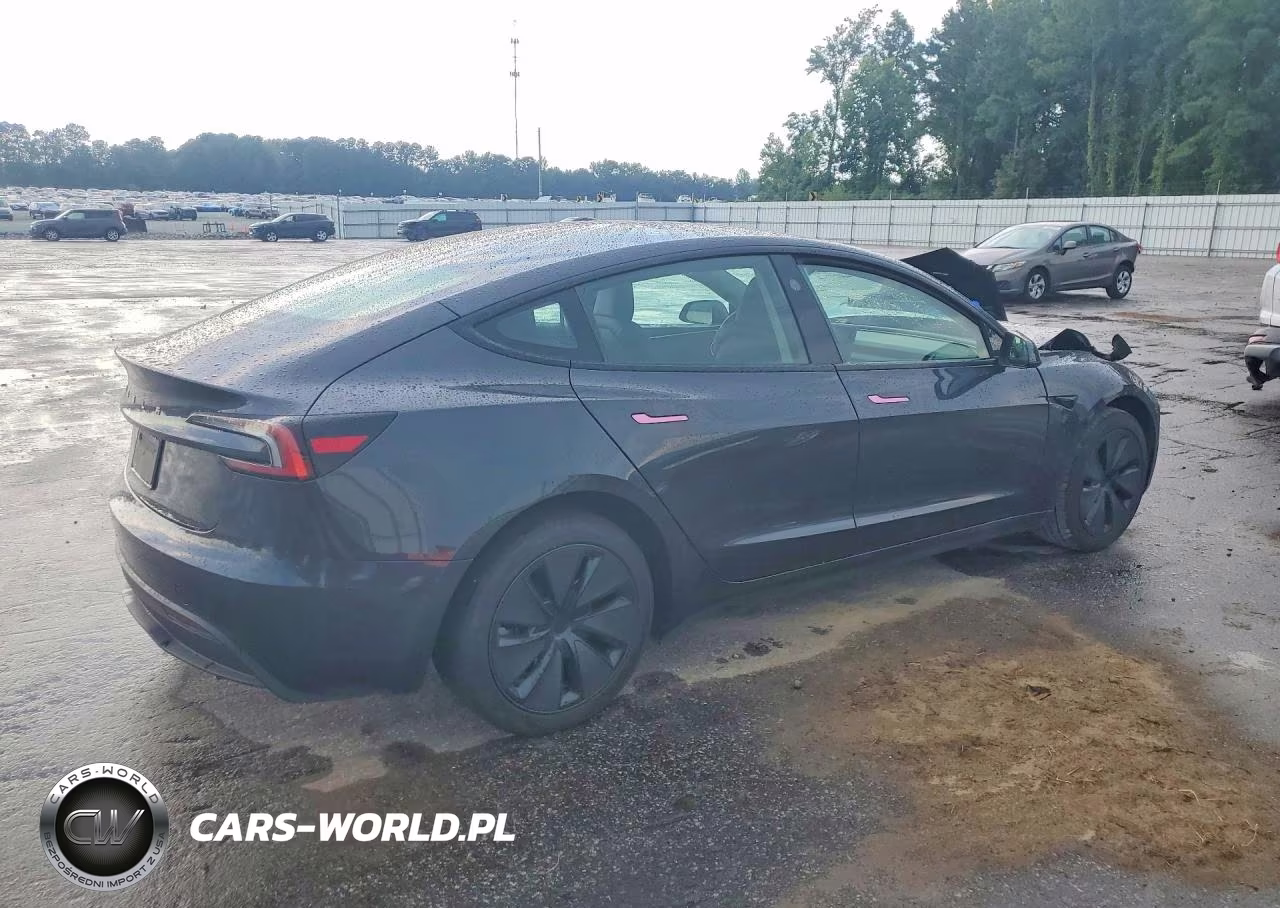 2025 Tesla Model 3 VIN:5YJ3E1EA3SF053804 - 3