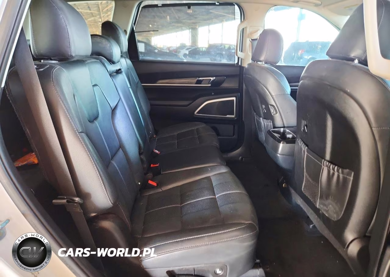 2020 Kia Telluride Ex VIN:5XYP34HC7LG038268 - 11