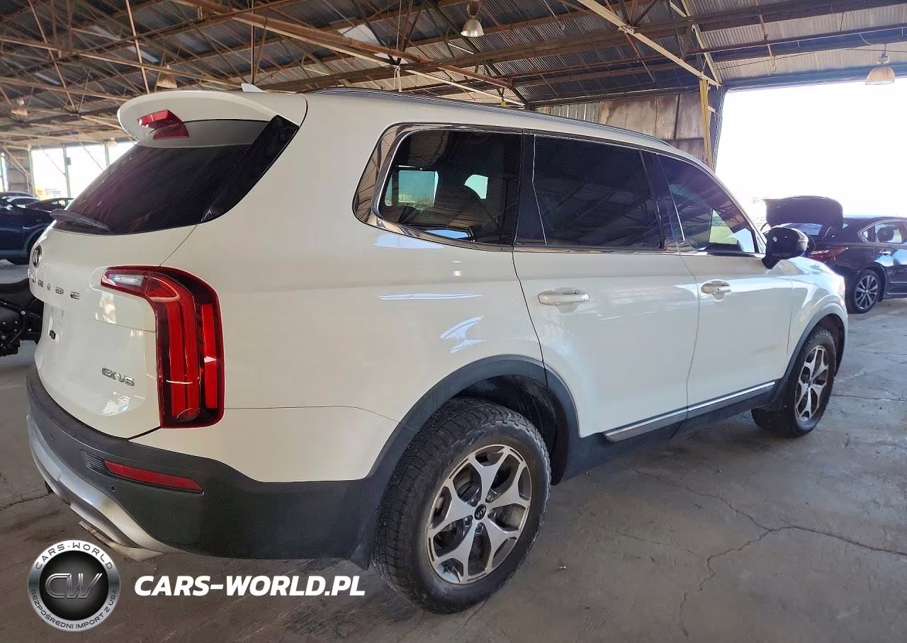 2020 Kia Telluride Ex VIN:5XYP34HC7LG038268 - 3