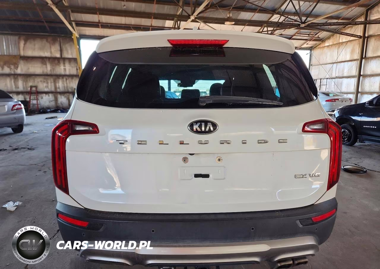 2020 Kia Telluride Ex VIN:5XYP34HC7LG038268 - 6